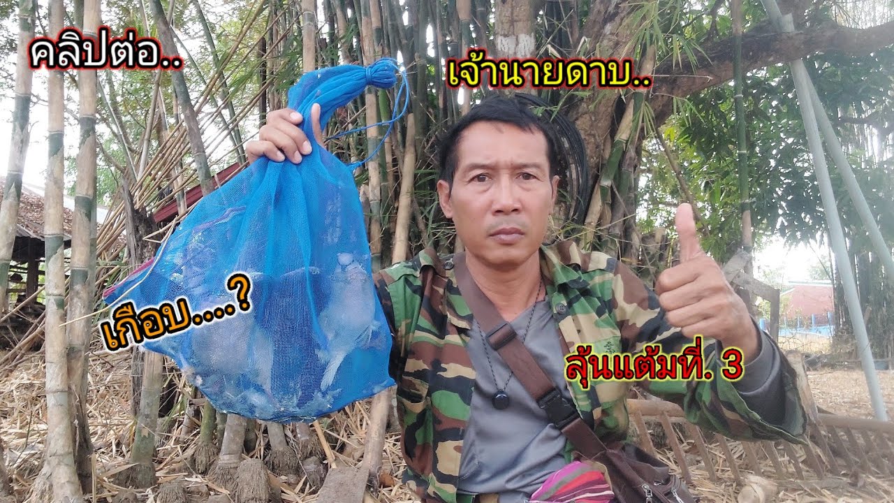 คลิปต่อ..เจ้านายดาบ ลุ้นแต้มที่ 3  ได้แค่เกือบ#ต่อนกเขาใหญ่ 