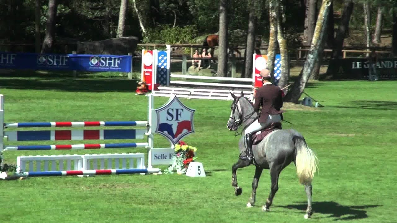 Une Star des Baisses (webstallions.com)