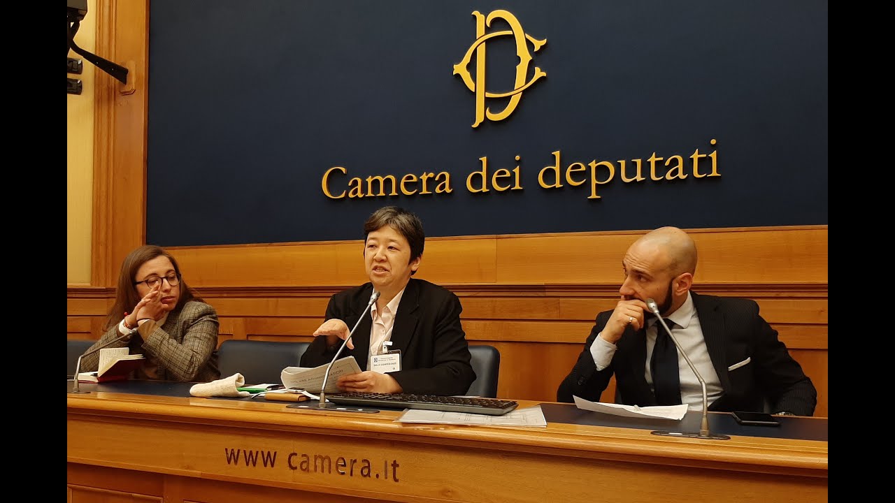 Japan-China relations: between &ldquo;Belt and Road&rdquo; and &ldquo;Free and Open Indo-Pacific&rdquo;