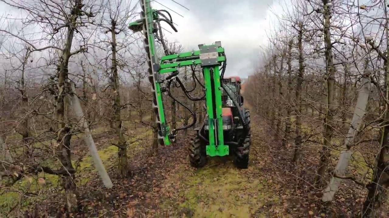 Piła Konturowa Libra / Cięcie sadu/ Orchard Pruning/ Piła do cięcia / Dom-Wid/ Orchard saw/