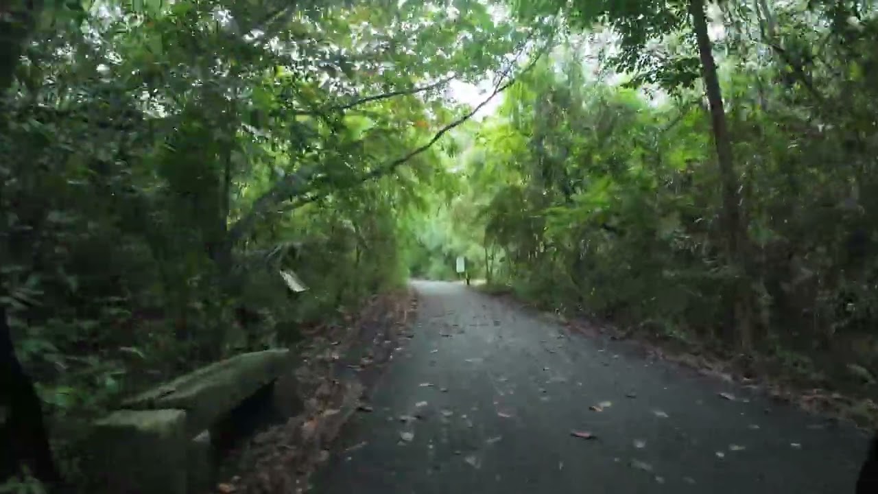 Bangkok JUNGLE Cycling - Bang Kachao Bike Tour [4K HDR]