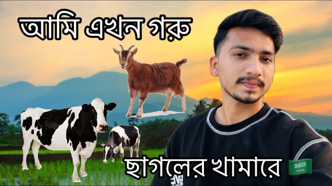 আমি এখন গরু ছাগলের খামারে 🇸🇦🐃🐐