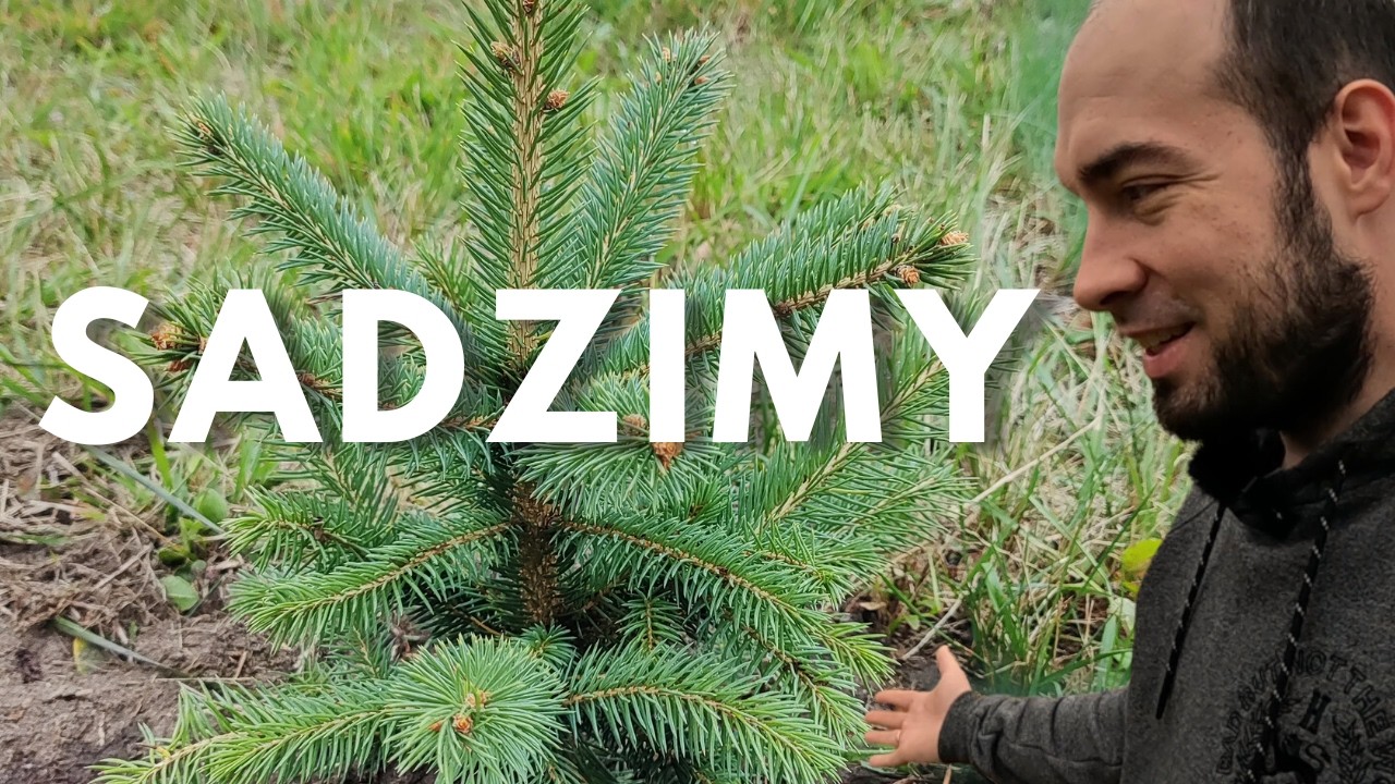 NASADZENIA PRZED BUDOWĄ DOMU. Czym i kiedy obsadzić działkę budowlaną? Ogród przed budową