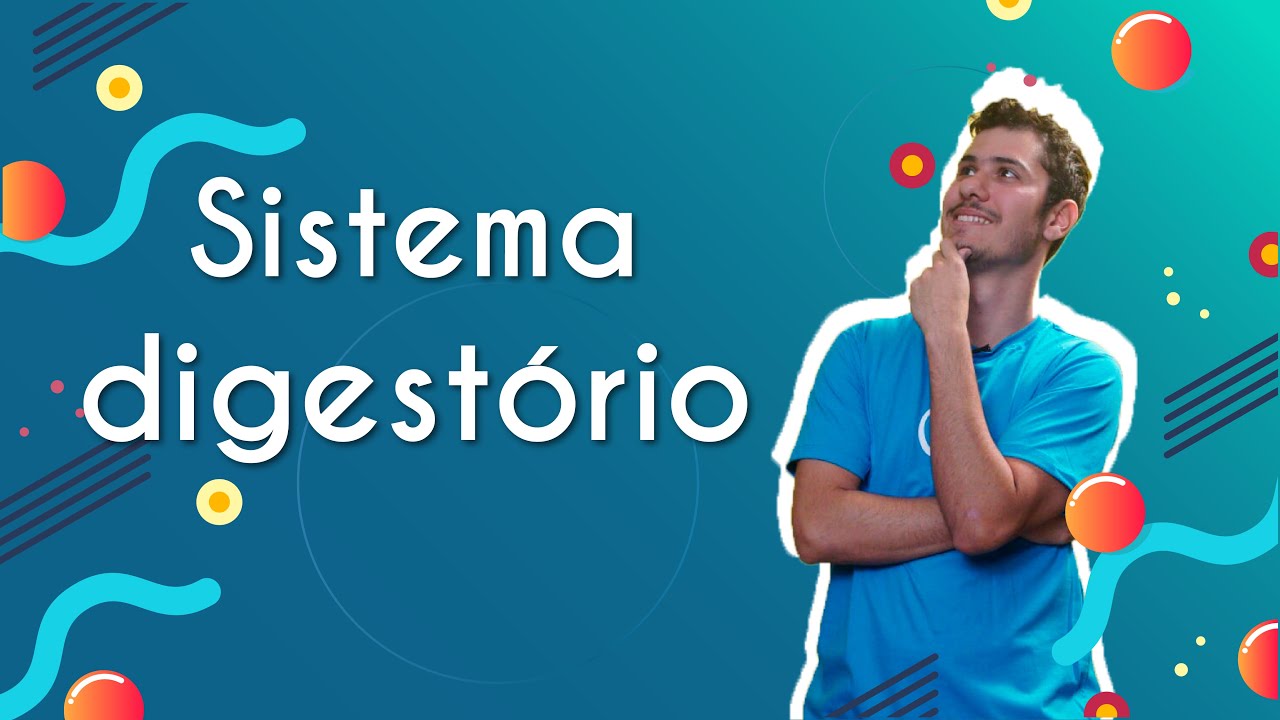 Sistema digestório - Brasil Escola