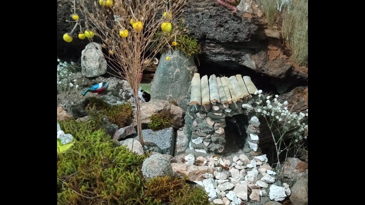 Nacimiento 2022 Detallado | Pesebre | Navidad | Tradición