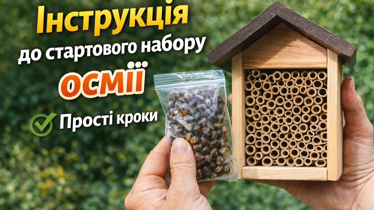 5-26. Інструкція до стартового набору осмій: як зберігати та розмістити