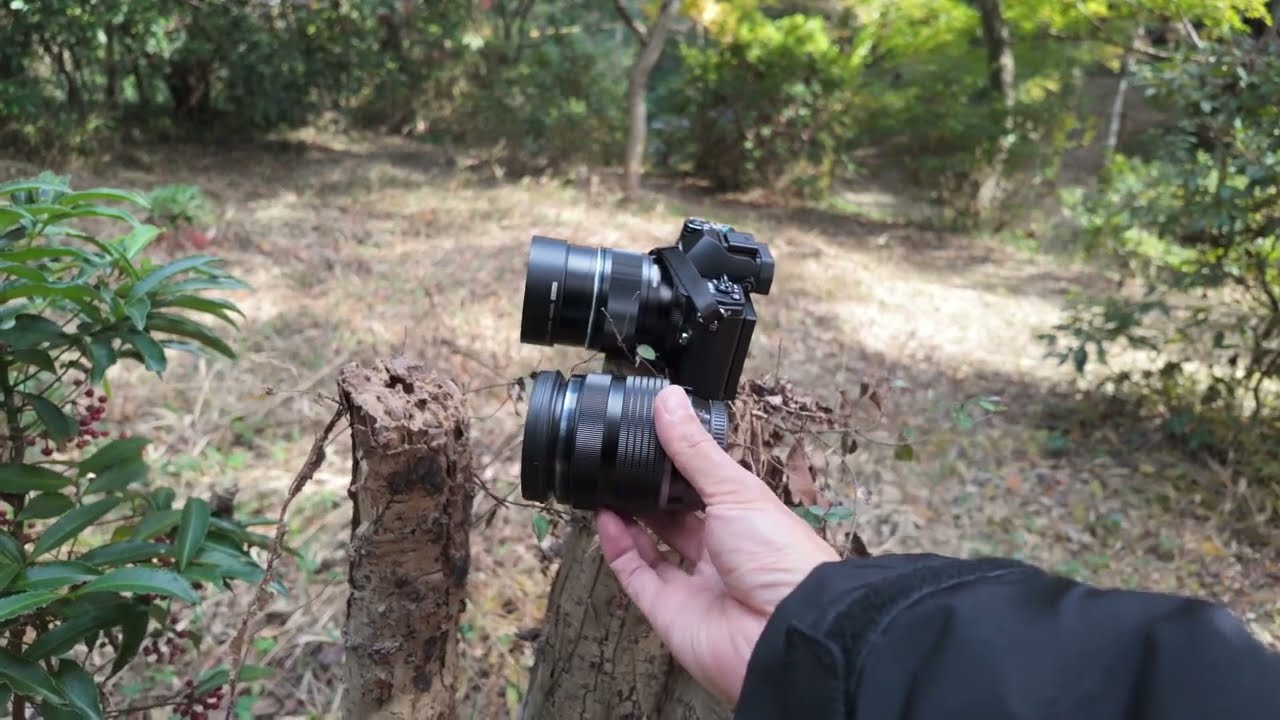 今年も知多市の紅葉谷で紅葉スナッピング