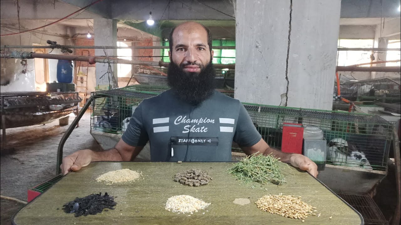 محدش هيقدر يغشك خليك معايا وكمل مكونات العلف سلسلة التغذية (٥٩)