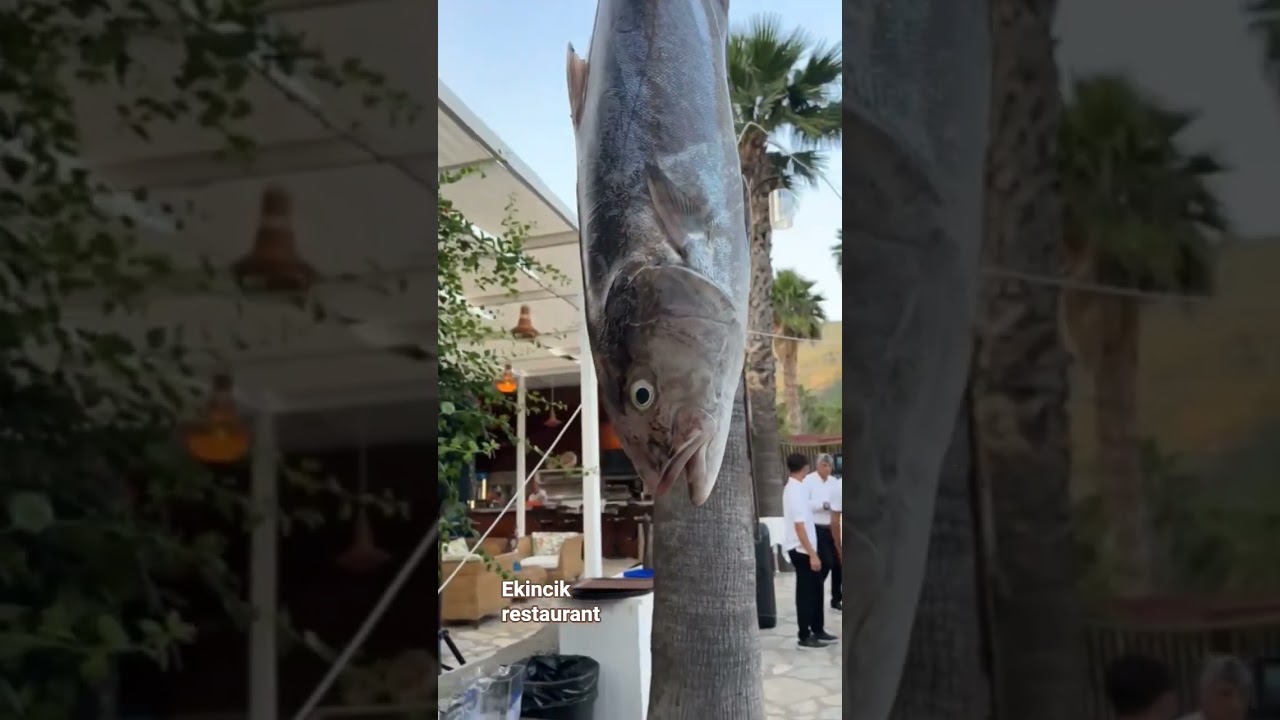 #ekincik #seafood #marina #restaurant #seafood #holiday # #beach #travel #dalyan #fishing #fish