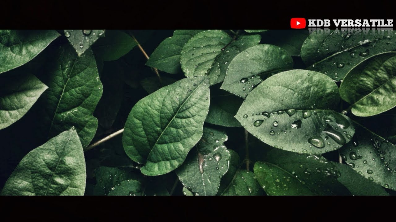 Xiaomi Redmi S2 Camera Test With Filter shoot