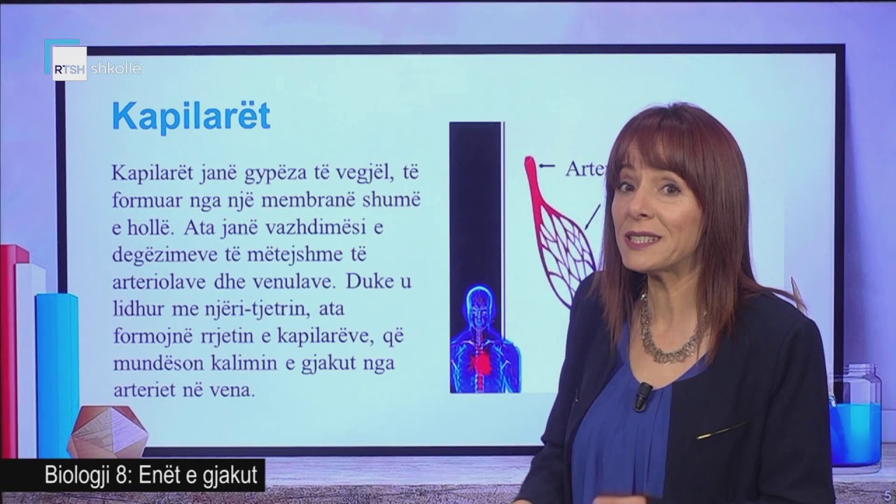 Biologji 8 - Enët e gjakut