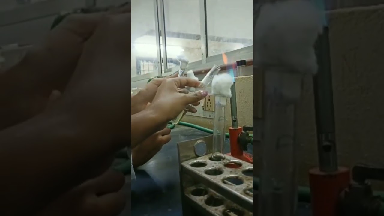 inoculating E.coli#shortsvideo #youtubeshorts #lab #microbiology #trendingshorts #inoculation