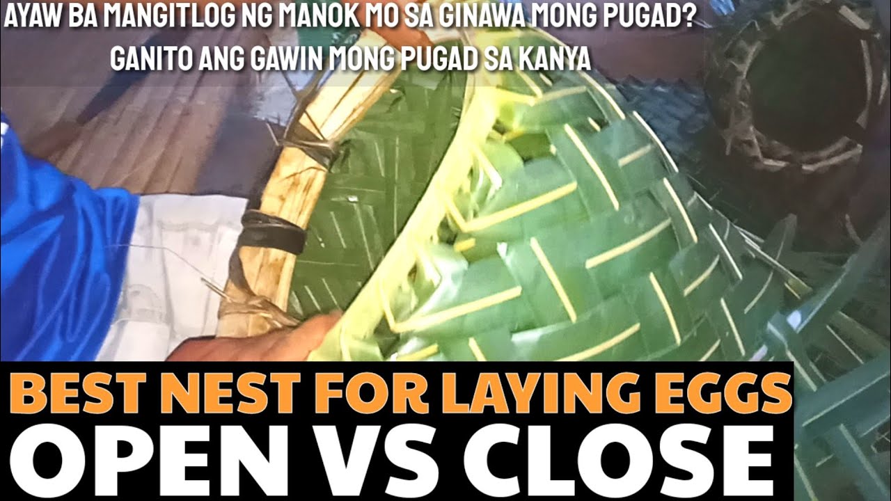 PAANO GUMAWA NG PUGAD NG MANOK | D' GREEN THUMB