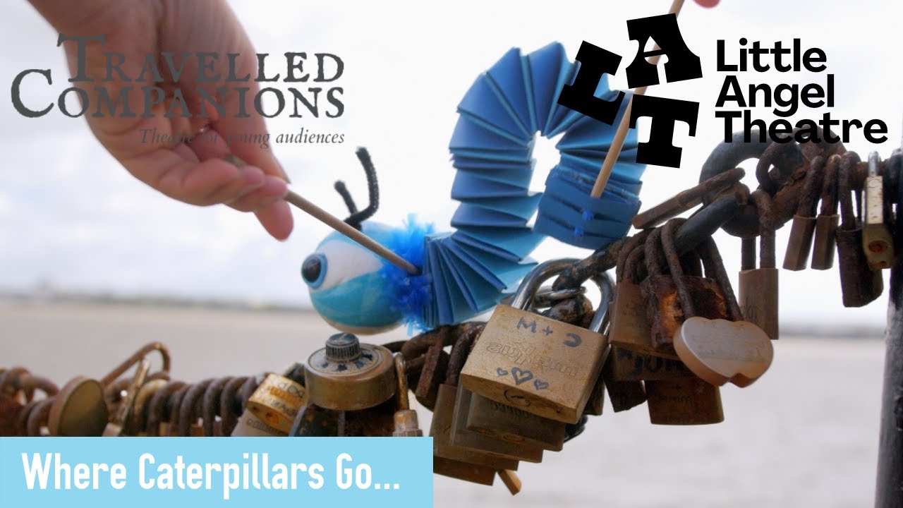 Where Caterpillars Go... | Free Performance For Children