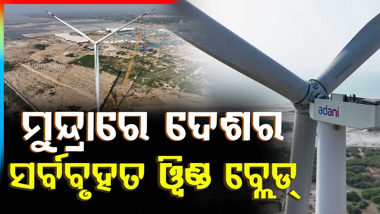 Adani Group to Build 91.2m Wind Turbine Blades at Mundra, Boosts Renewable Push | Argus News
