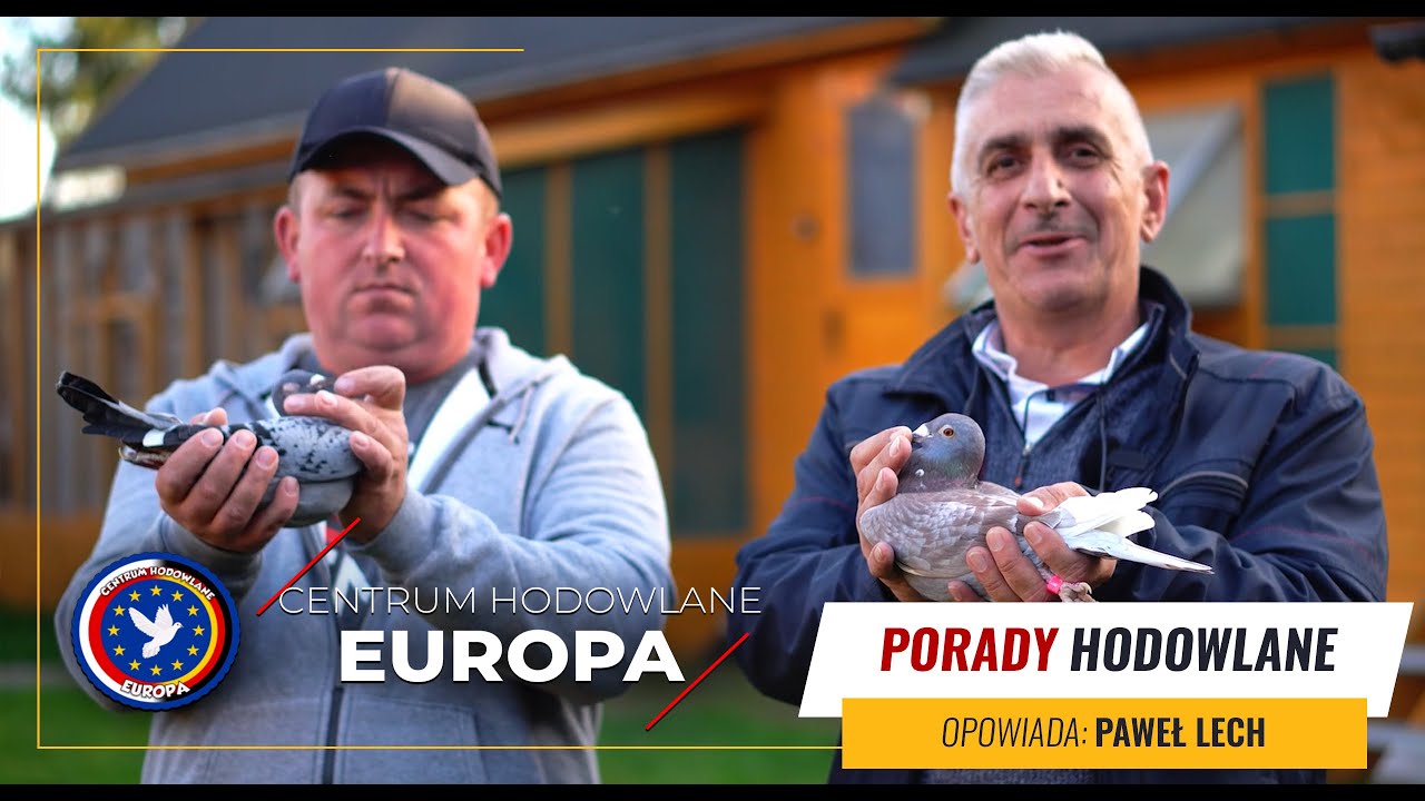 CENTRUM HODOWLANE EUROPA - Porady hodowlane - 🎬 ( Super Film ‼️)