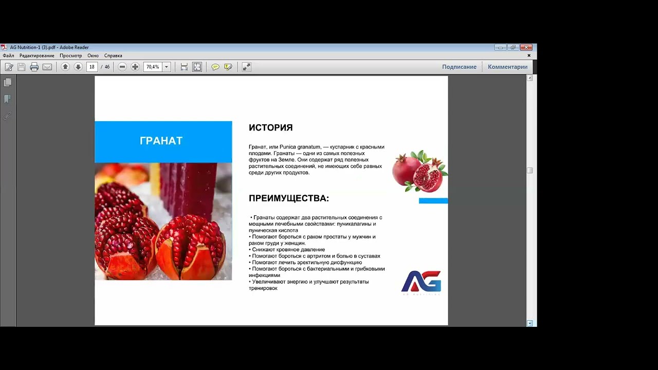 Как зарабатывать в AG Nutrition? Полная презентация продукта и маркетинга | 2026