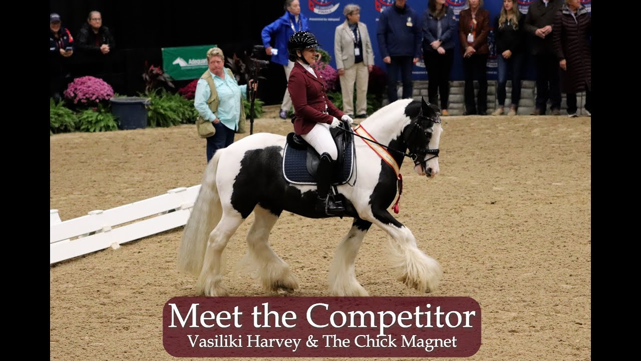 Meet the Gypsy Vanner Who Scored a Reserve Championship Title at the US Dressage Finals