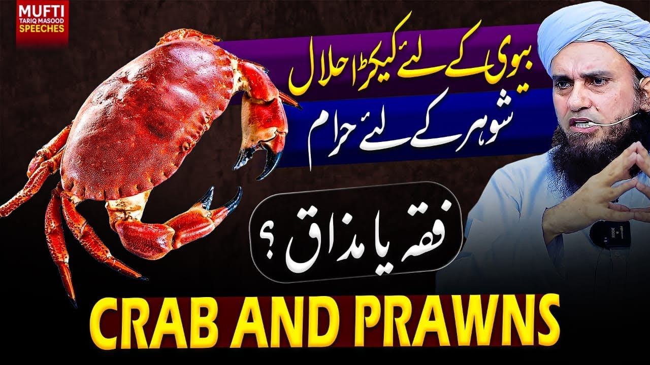 Crab And Prawns  | MTM Speeches 🕋