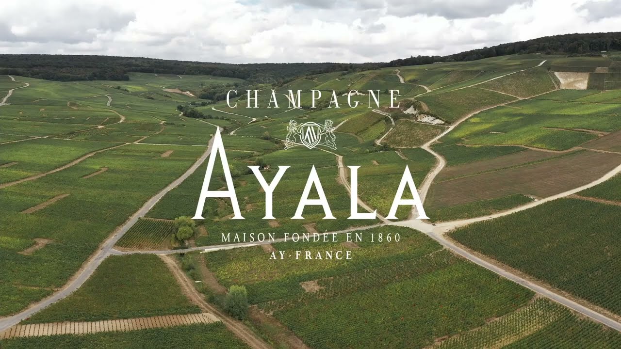 Champagne Ayala
