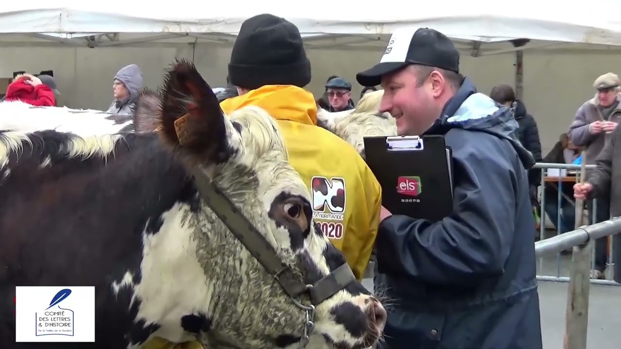 foire chandleur grainville la reinturière 2020