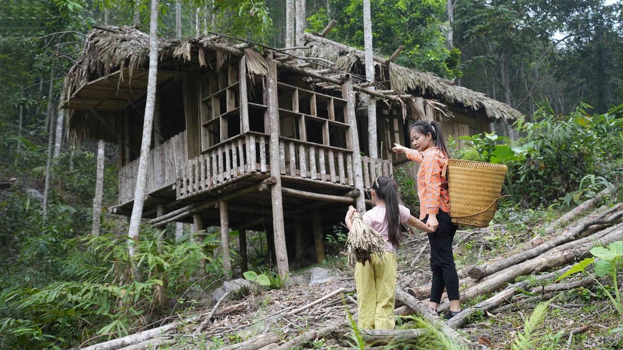 Talented Woman Amazed Everyone by Reviving a Ruined House into a Livable Home.