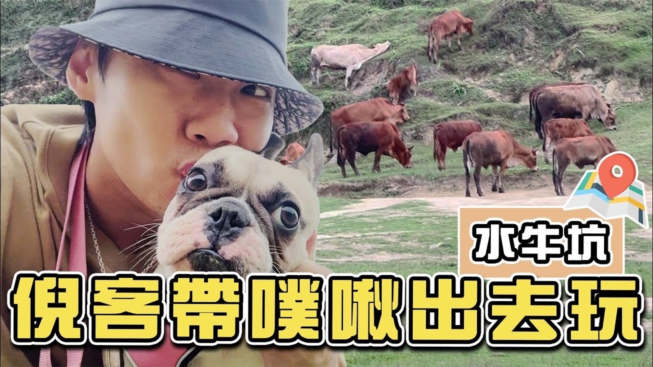 一豬小公主｜倪客帶噗啾出去玩-水牛坑