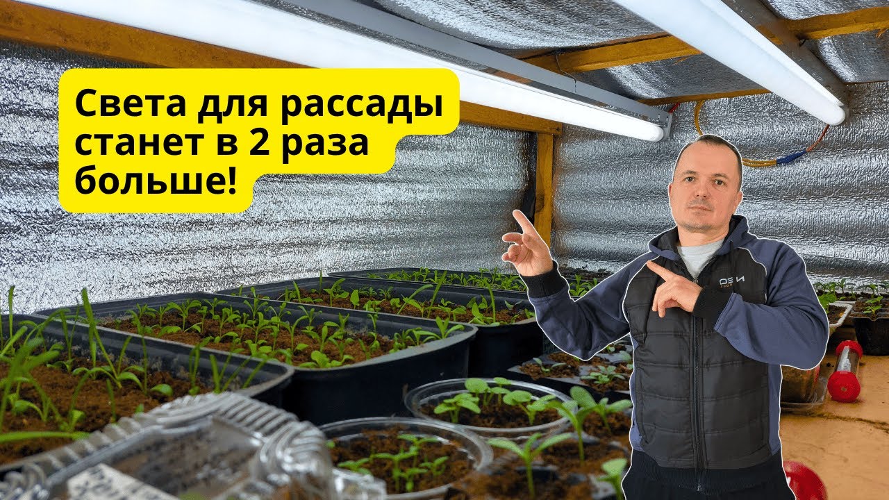 Многократно улучшаем освещение рассады БЕЗ дополнительных ламп!