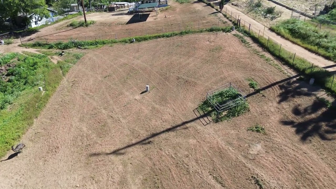 DJI Drone Back Pasture Part 2