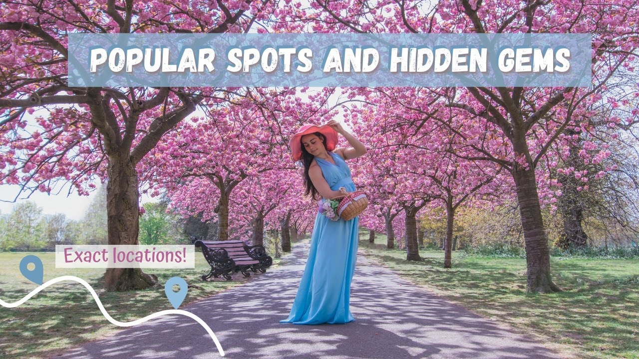 Greenwick Park Cherry Blossoms and other Later blossoms in London (including hidden gems!)
