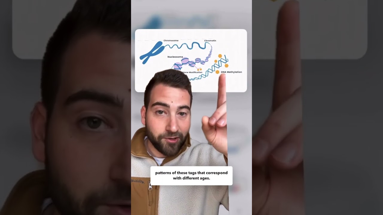 What is &ldquo;epigenetic aging&rdquo; and how can we measure it? #epigenetics #age #DNA #methylation #biology