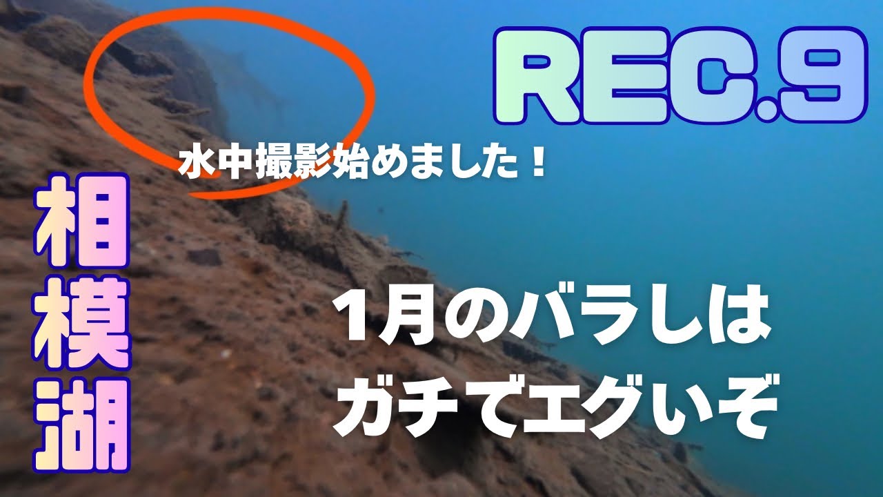 1月のバラシはガチでエグいぞ【1月上旬　相模湖】バス釣り