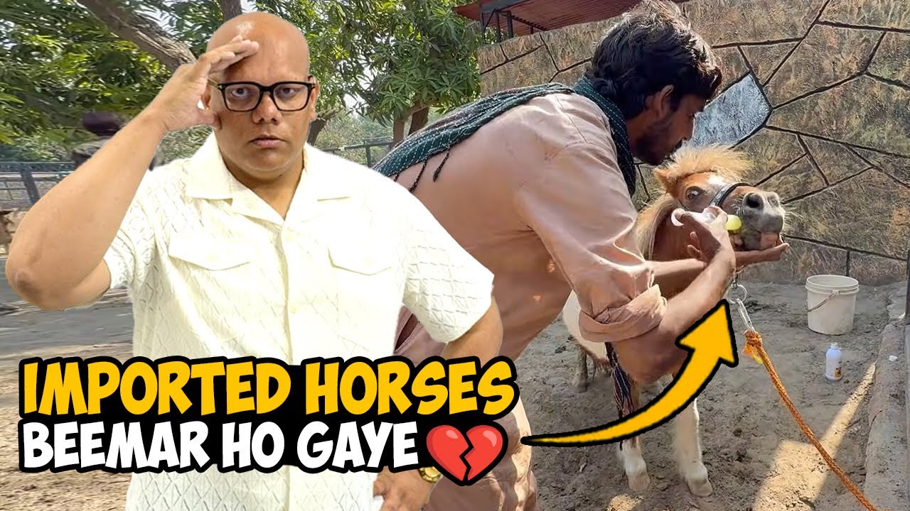 Imported Horses Beemar Ho Gaye 😷🐎 | BT Farm Stories