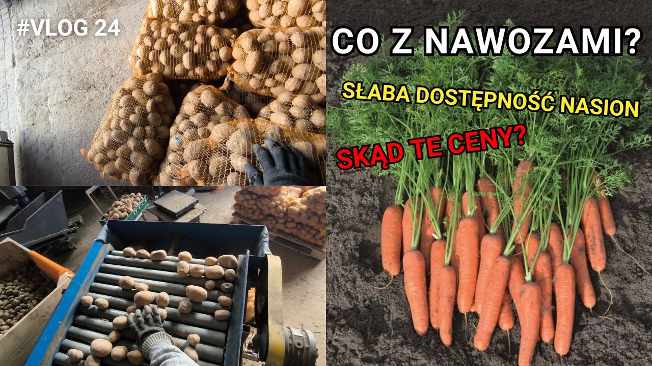 Sortowanie ziemniaków - Co się dzieje na rynku nasion i nawozów? [Vlog 24]