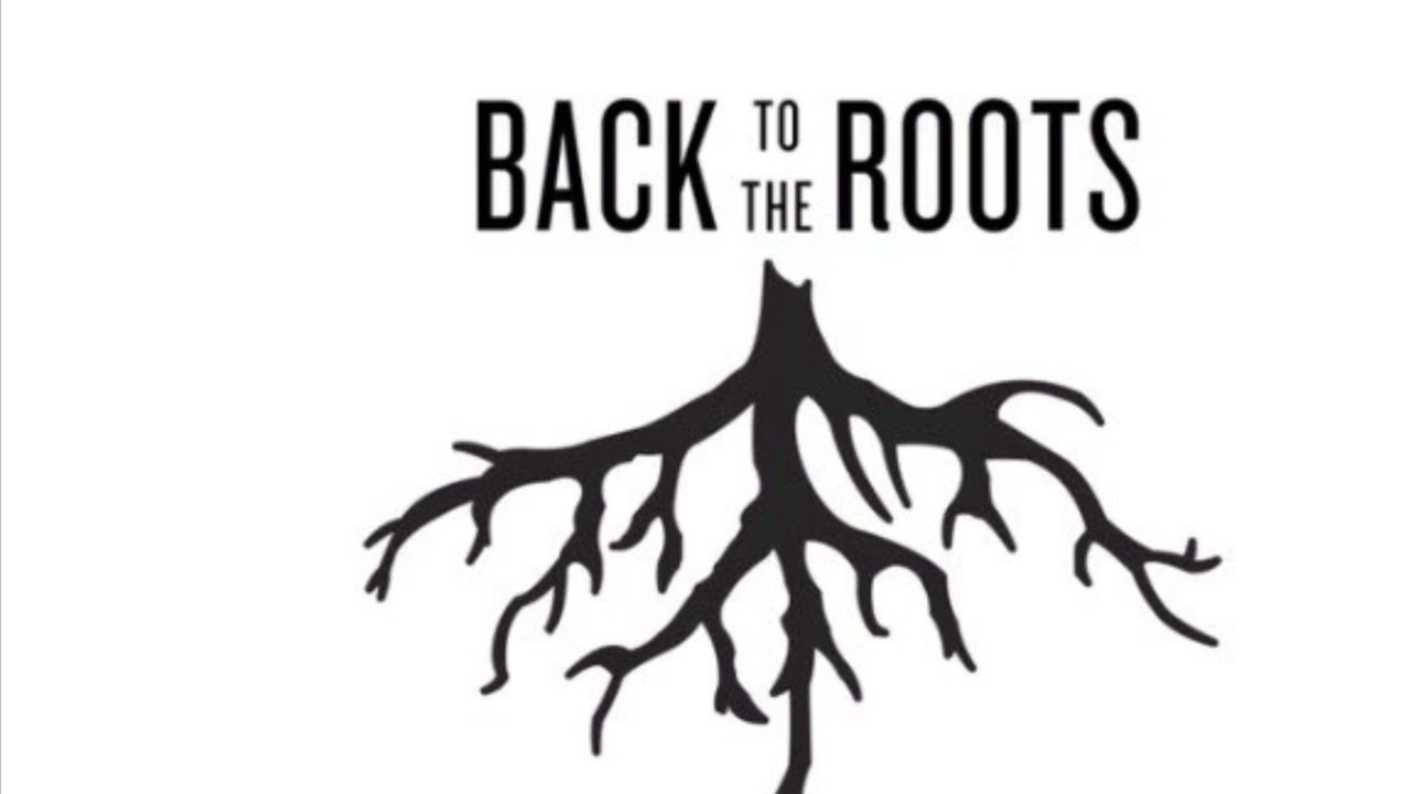 Back to the roots feat Jahlen (Ultra Remix)