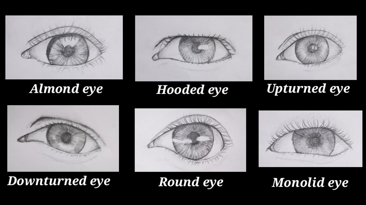 How To Draw Eyes, Types and Different Angle of Eyes.