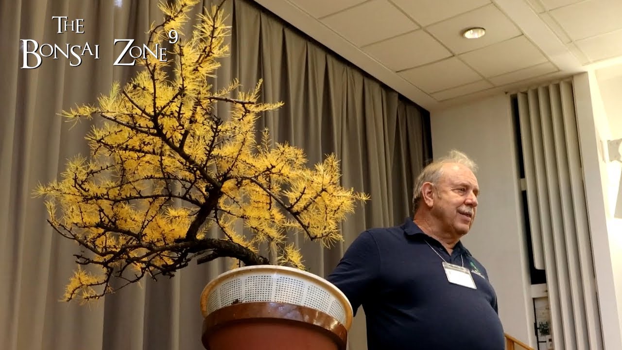 Larch Bonsai Demo by David Easterbrook, Part 1, The Bonsai Zone, Oct 2022