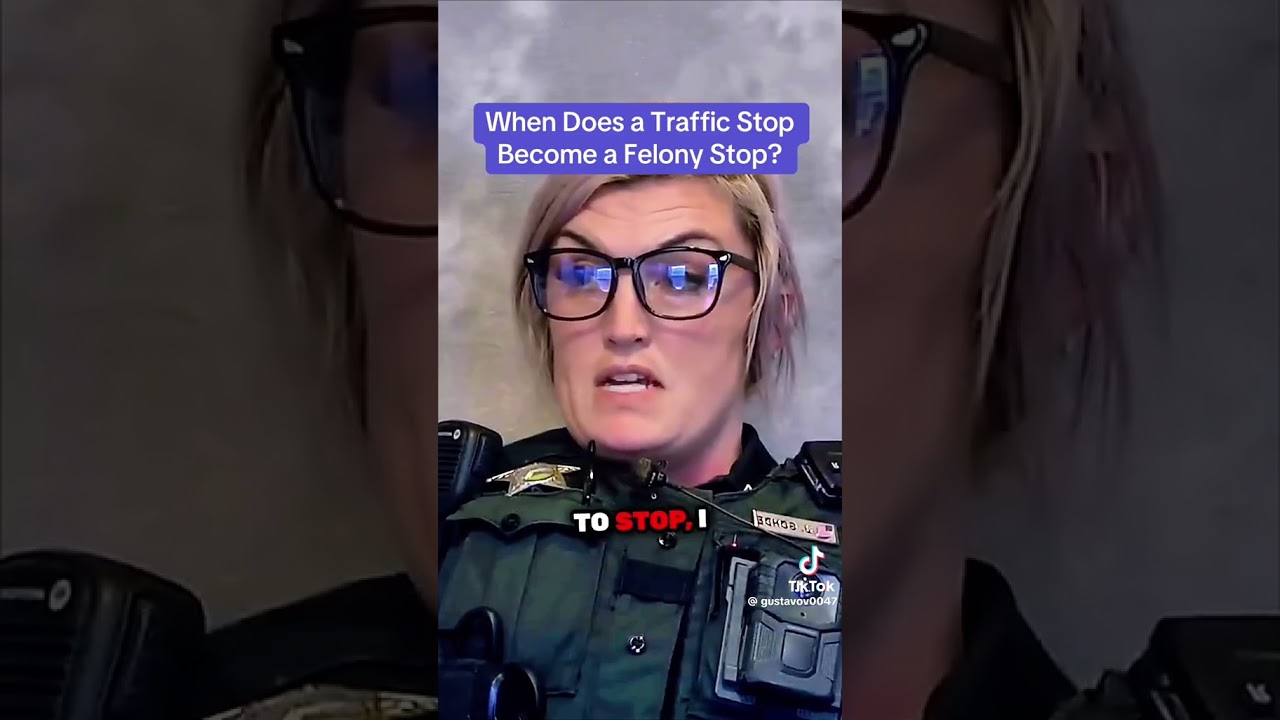 When does a traffic stop turn into a felony stop 🤔 #police #law