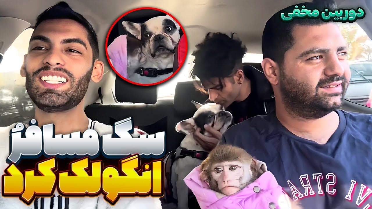 میمون🐒سگ مسافر انگولک کرد😂دوربین مخفی