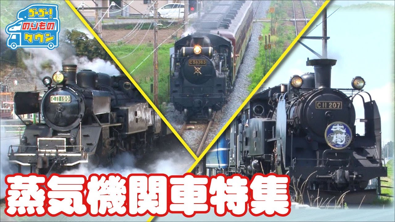 【のりもの図鑑】蒸気機関車 SL特集（かわね路号、パレオエクスプレス、大樹）