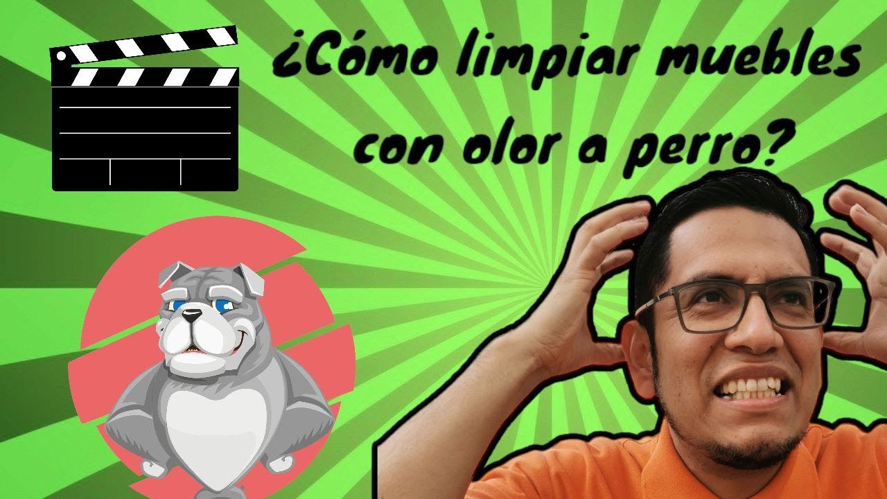Cómo limpiar muebles con olor a perro 🐶