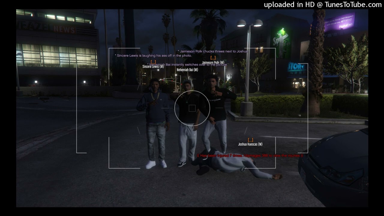 [GTA-W] Piggotti - Not Steppers [Leaked]