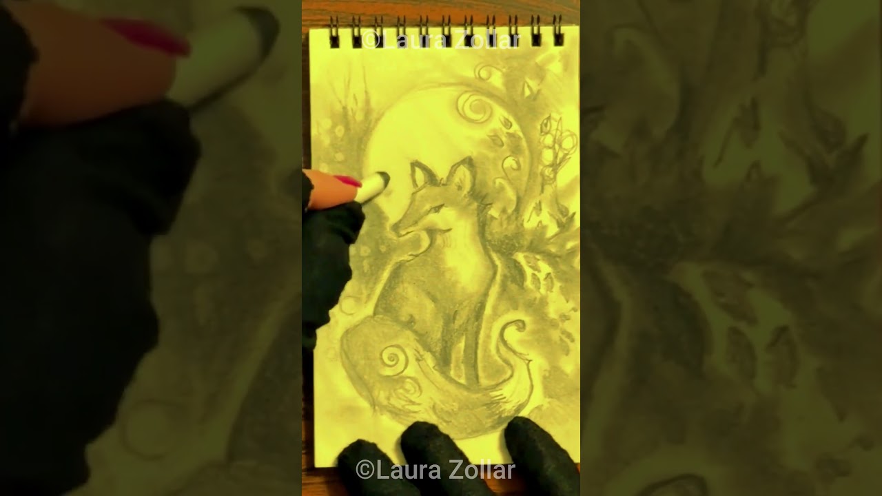 🦊 Fox Drawing Short ✨ Artist Laura Zollar