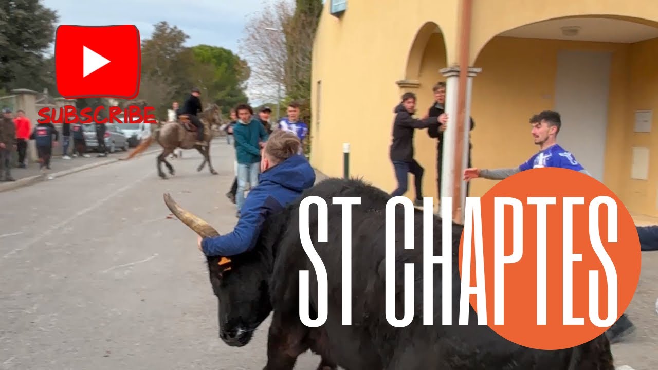 Abrivado ➡️ St Chaptes 🇫🇷 1/2 Manade VITOU 👍🏻 04/01/25 matin 🥶 journée taurine 😁