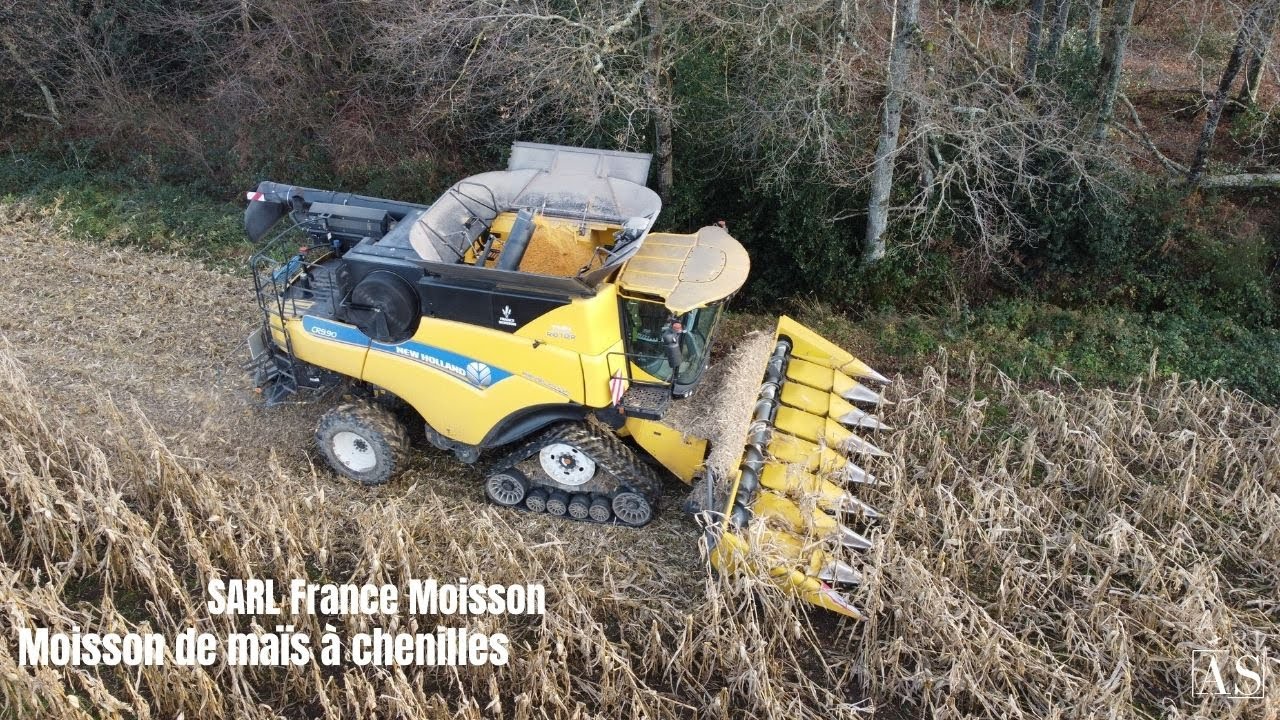 😱 Les chenilles sont de sortie pour la CR 9.90 ! NH CR 9.90/Maya 8 rangs [SARL France Moisson] 🌽