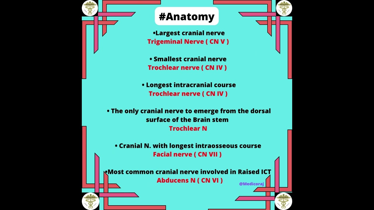 Cranial nerves important points #shorts #short #mbbsnotes #nextexam #nmc #neetpg #fmge #youtubeshort