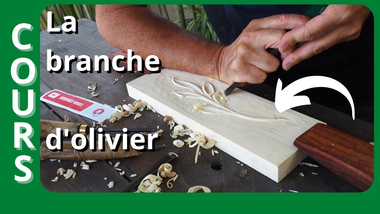 Cours de Sculpture sur Bois n°1  -  La branche d'Olivier