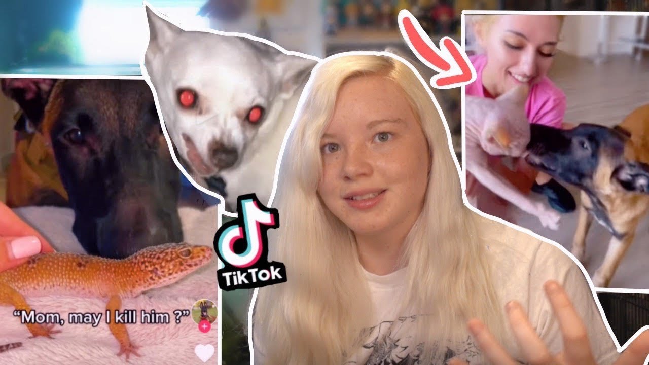 Ужасные владельцы собак из TikTok (Tasermalinoisdog и Madi)