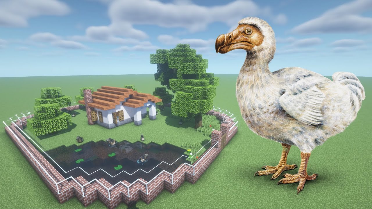 How To Make a Dodo Farm in Minecraft PE