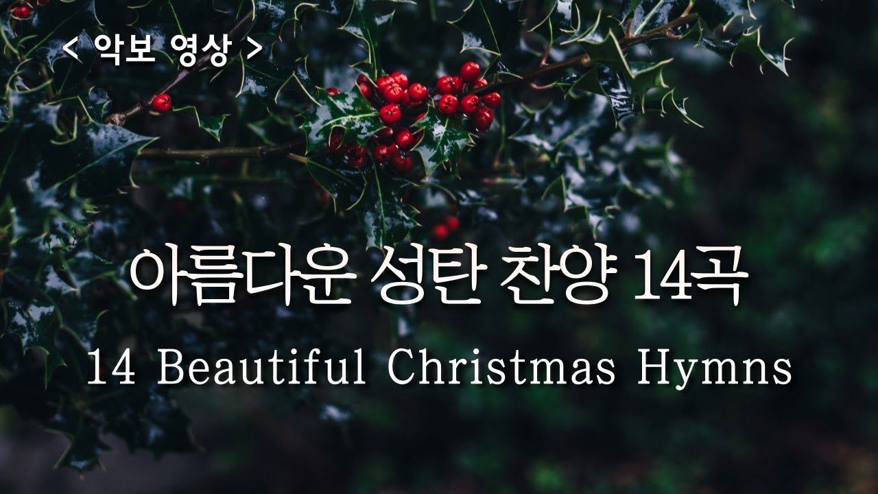 [ 예배 합창 모음 ] 아름다운 성탄절 찬양 ( Beautiful Christmas Hymns )  #carol #성탄찬양메들리 #성탄절특송 #성탄절합창